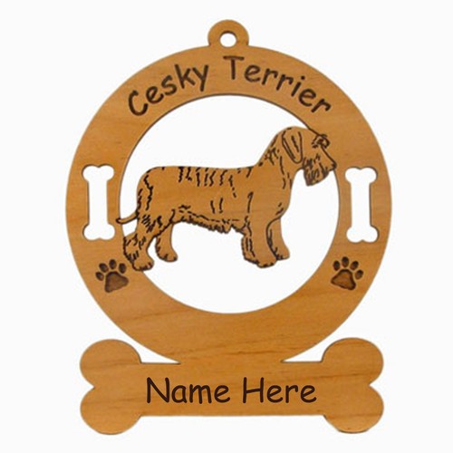 Cesky terrier standing - cesky,